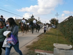 szuret16_21_20220219